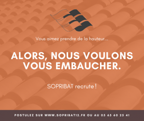 Offre d'emploi - Publication Facebook